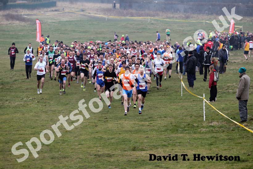 Senior Men's start, North East Harrier League, Wrekerton, Gateshead.